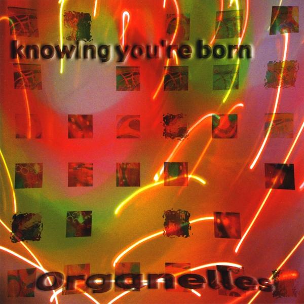 KNOWING YOU'RE BORN