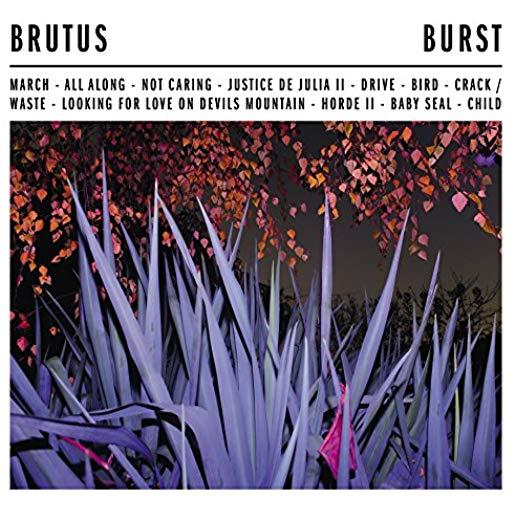 BURST (DLCD)