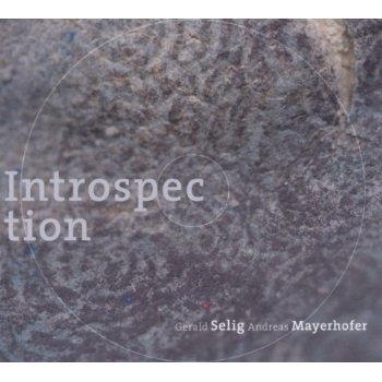 INTROSPECTION (GER)