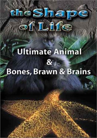 SHAPE OF LIFE 4: ULTIMATE ANIMAL & BONES