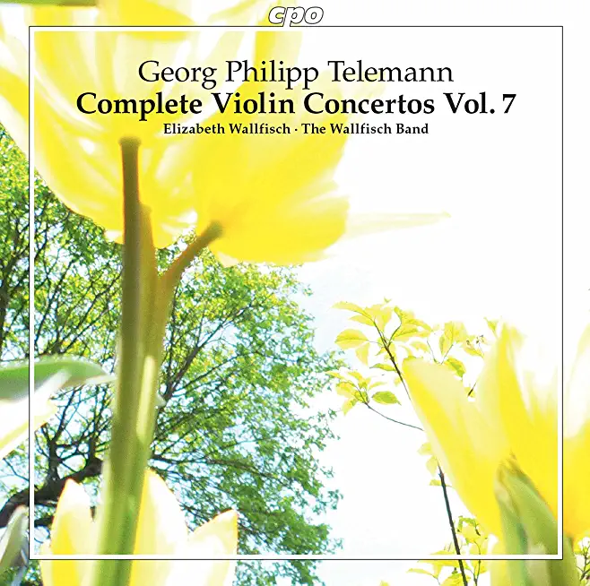 COMPLETE VIOLIN CONCERTOS 7