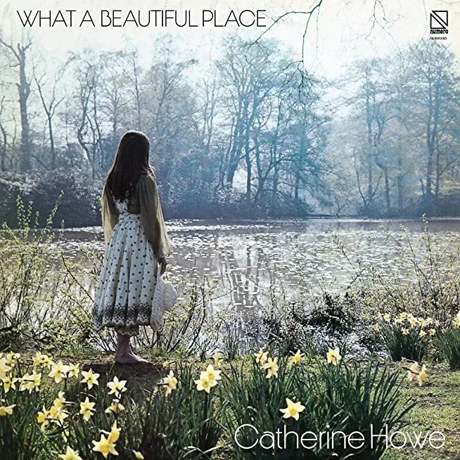 WHAT A BEAUTIFUL PLACE (YELLOW VINYL) (COLV) (YLW)