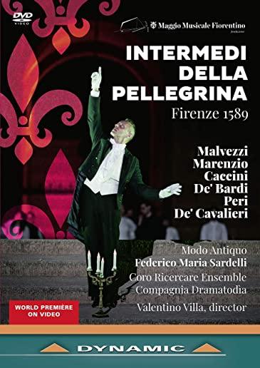 INTERMEDI DELLA PELLEGRINA / VARIOUS