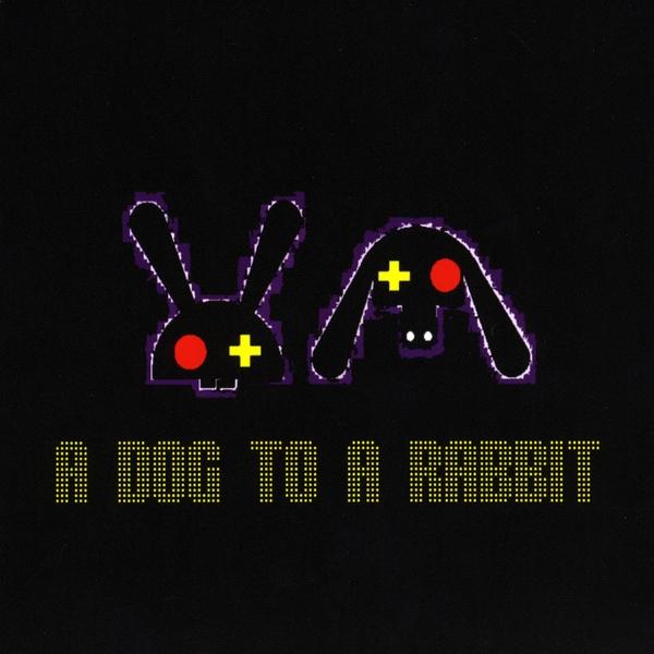 DOG TO A RABBIT