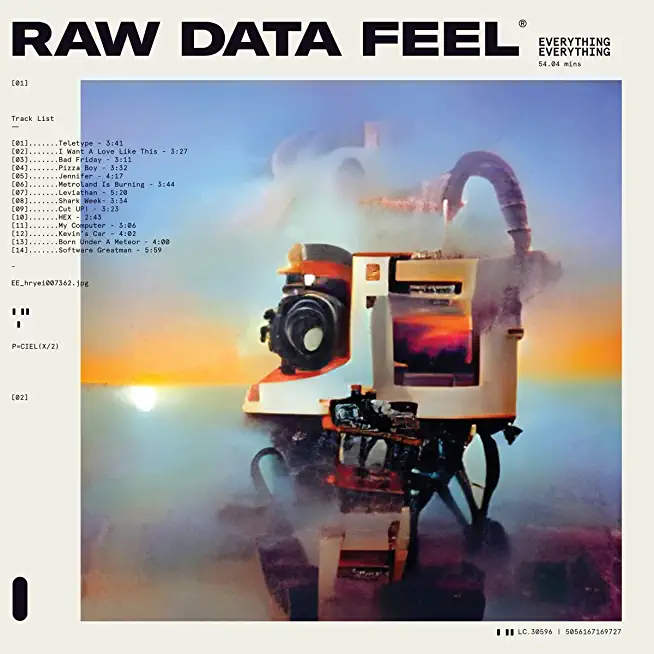 RAW DATA FEEL (DIG)