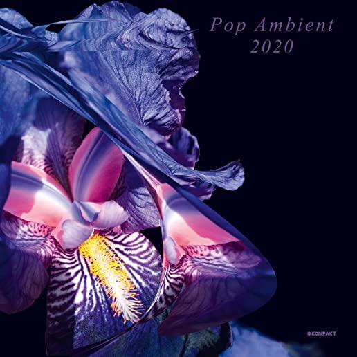 POP AMBIENT 2020 / VARIOUS