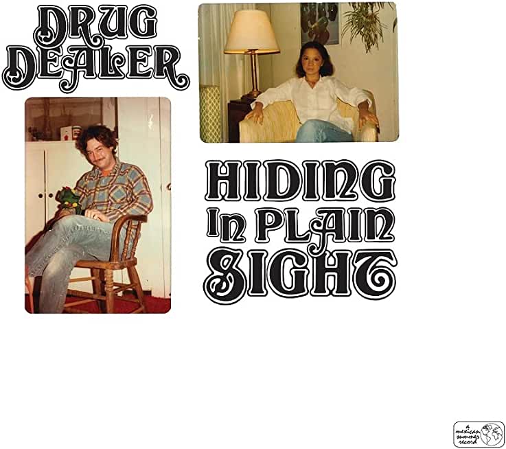 HIDING IN PLAIN SIGHT (DLCD)