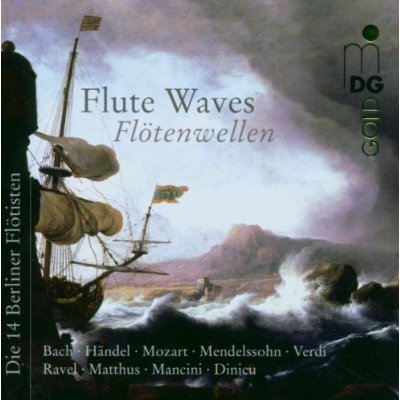 FLUTE WAVES / VARIOUS (HYBR)