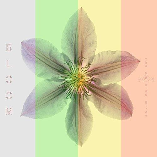 BLOOM