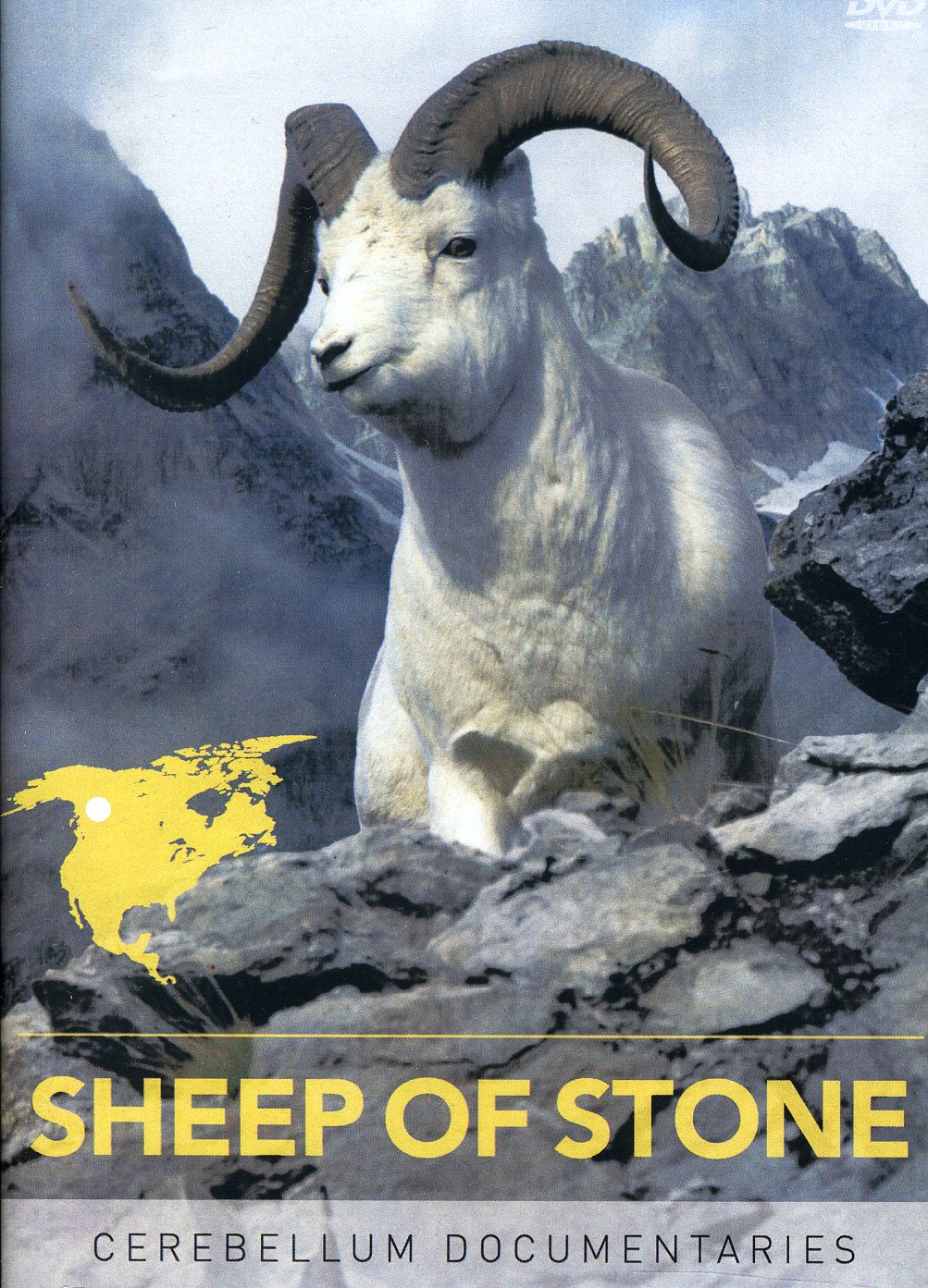 SHEEP OF STONE