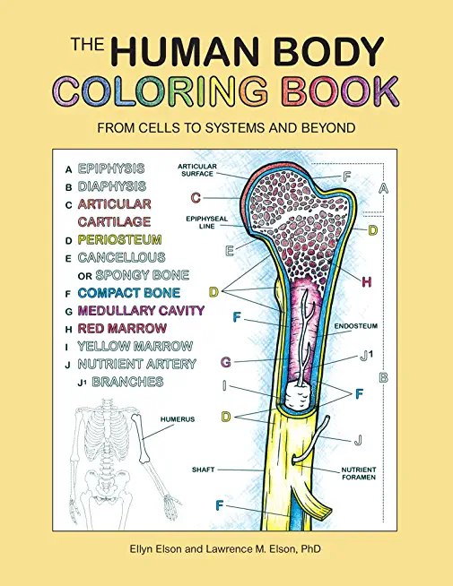 HUMAN BODY COLORING BOOK (PPBK)